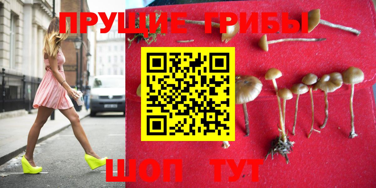 Псилоцибиновые грибы Cubensis Кимовск